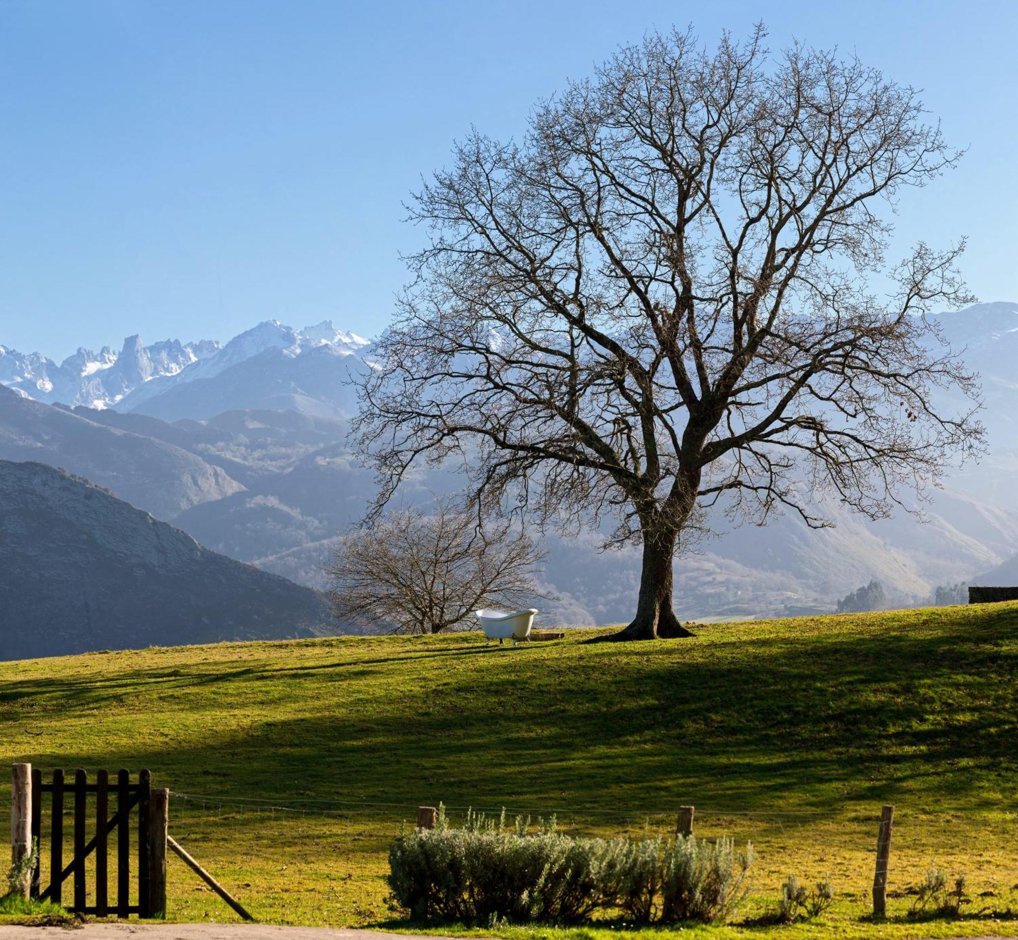 LA MONTAÑA MÁGICA HOTEL RURAL VIBANO 3* (España) - desde 156 € | HOTELMIX